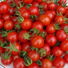 Насіння томату (помідора) Стромболіно (UG 205) F1