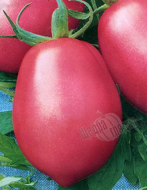 Семена томата (помидора) Розовый фламинго