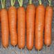 Насіння моркви Нантес, 3 г