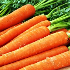 Насіння моркви Каротан