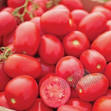 Насіння томату (помідора) Уно Россо F1