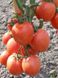 Насіння томату (помідора) Тойото F1
