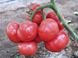 Семена томата (помидора) Пинк Харт F1, 50 шт