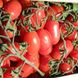 Насіння томату (помідора) Тойото F1