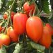 Семена томата (помидора) Колибри F1