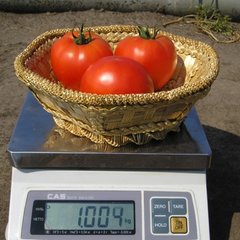 Насіння томату (помідора) Акела F1