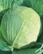 Семена белокочанной капусты Украинская осень (Смачный), 100 г