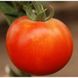 Насіння томату (помідора) П'єтро F1