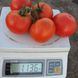 Насіння томату (помідора) П'єтро F1