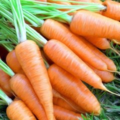 Семена моркови Купар F1, 0,5 г