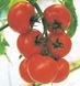 Насіння томату (помідора) Кристал F1