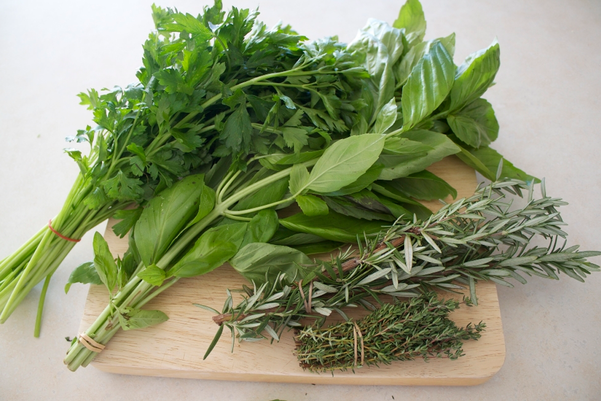 Микрозелень кресс-салат - как вырастить?